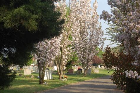 Crematorium and Cemeteries