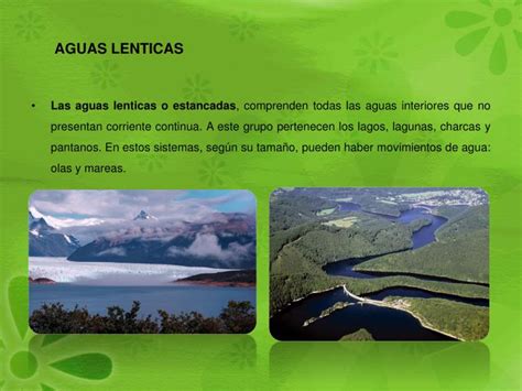 Ppt Iii Unidad Ecosistemas Y Recursos Naturales Los Biomas