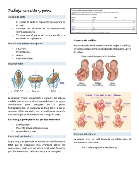 Trabajo De Parto Y Partooo Trabajo De Parto Y Parto Trabajo De Parto