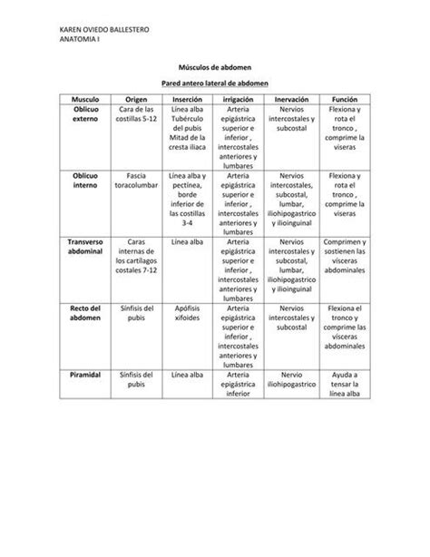 Músculos De Abdomen Karen Oviedo Udocz