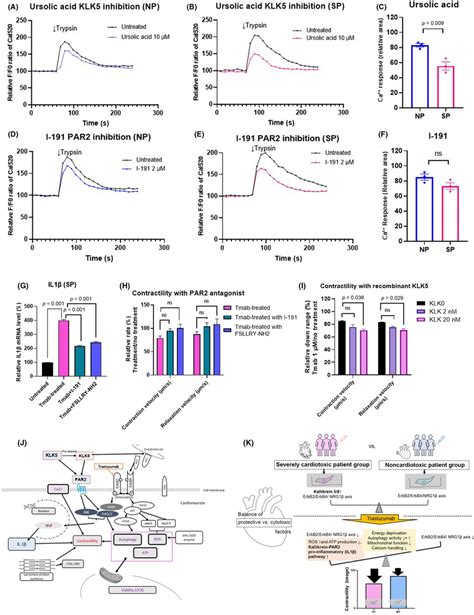 Inhibition Of The Kallikrein5 Klk5protease‐activated Receptor 2