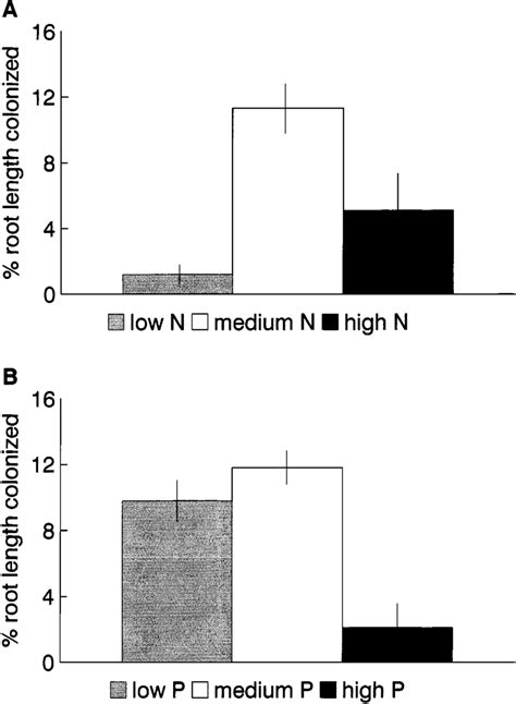 Mycorrhizal Colonization Percent Root Length Colonized By Arbuscules