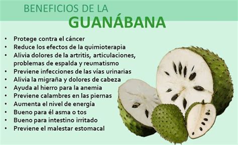 Beneficios De La Fruta Guan Bana Que No Sabias Remedios Caseros