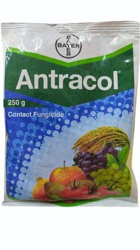 Gm Bayer Antracol Contact Fungicide Powder At Best Price In Mancher