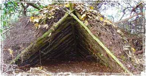 Bushcraft Shelter Types