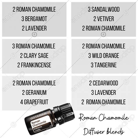 Roman Chamomile Diffuser Blends By Fernanda Cavaletti