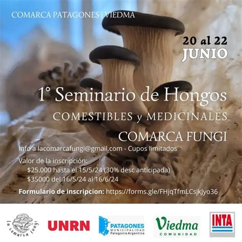 Todo Listo Para El Primer Seminario De Hongos Comestibles En La Comarca