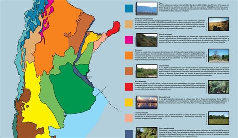 Regiones Y Ecorregiones