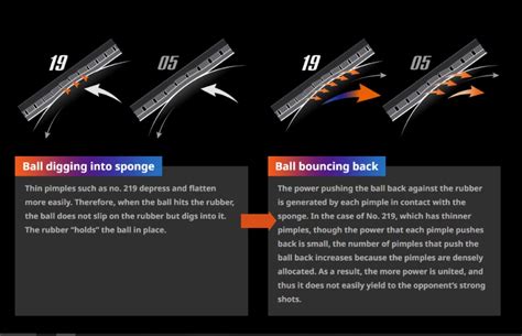 Butterfly Tenergy 19 Review & Playtesting • Racket Insight