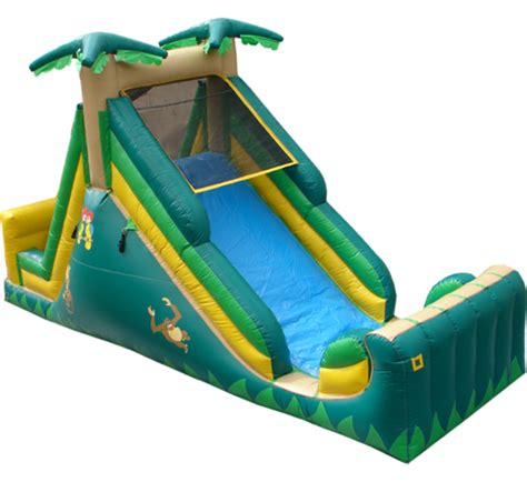 15' Backyard Slide | Inflatable Slide | Giant Slide rentals in Austin Texas from Austin Bounce ...