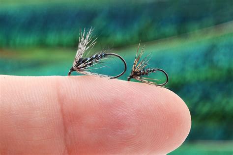 Tying Techniques How To Adjust Wide Soft Hackles For Your Wet Flies