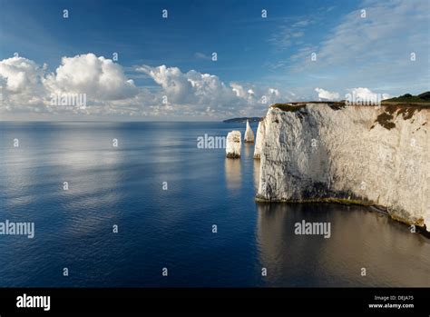 The Pinnacles Chalk Cliffs And Sea Stacks At Ballard Down Jurassic Coast World Heritage Site