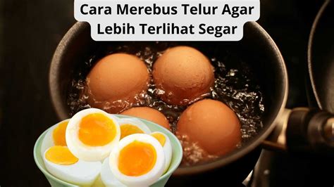 Salah Masak Telur Bisa Sebabkan Kanker Masukan Bahan Ini Agar Hasil