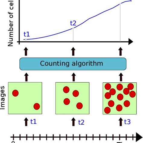 General procedure for cell counting | Download Scientific Diagram