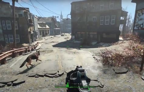 River, The Dog Who Inspired A 'Fallout 4' Game Character, Passes Away