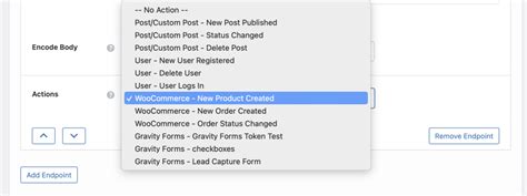 Woocommerce To Api Wpgetapi