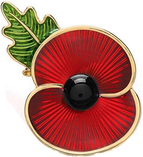 Amazon.ca: canadian poppy pin