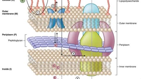 Health Medical News Research Discoveries Page 212 Of 320