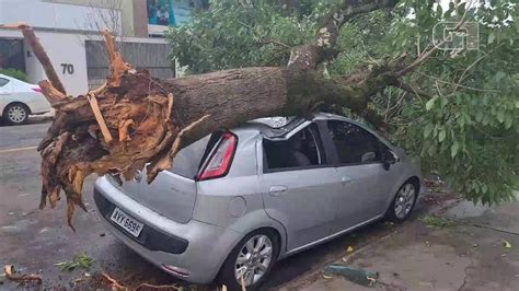 Temporal Derruba Rvores Destelha Casas E Deixa Im Veis Sem Luz No