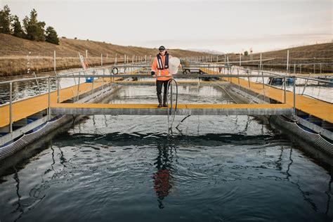 Responsible Farming Mount Cook Alpine Salmon Freshwater King Salmon