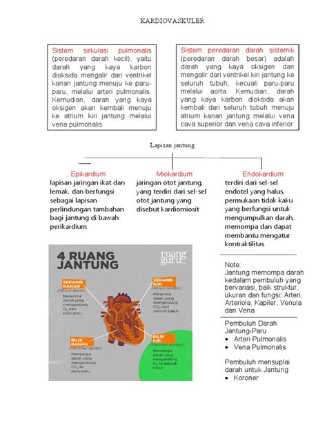 Sistem Sirkulasi Pulmonalis Sistem Peredaran Darah Sistemik Pdf