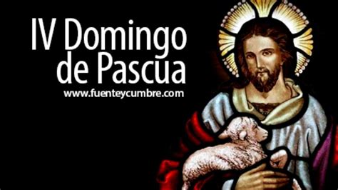 V Spera Del Iv Domingo De Pascua Domingo Del Buen Pastor Youtube