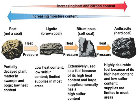 Coal (Formation, Types and Importance) - Online Science Notes