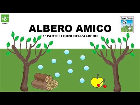 Come E Fatto Albero Spiegato Ai Bambini Aggiornato Gennaio 2025