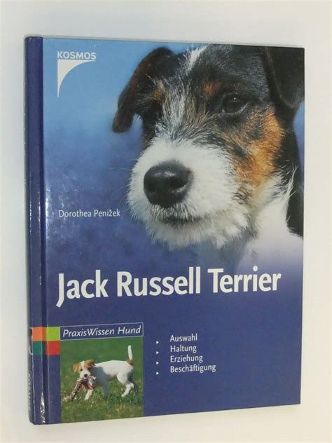 Amazon Jack Russell Terrier Auswahl Haltung Erziehung