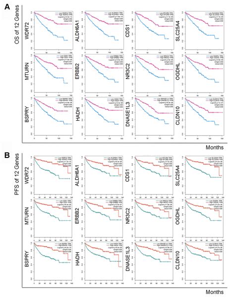 Identification Of Novel Prognostic Biomarkers In Renal Cell Carcinoma