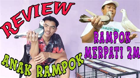 Review Olivia Anak Sang Rampok Milyar Merpati Kolong Fenonomenal