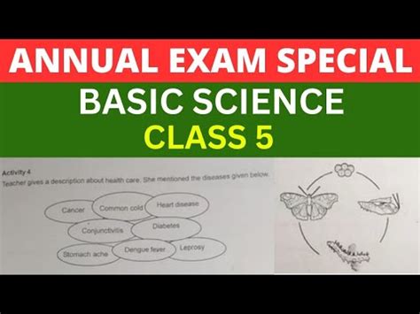 Class 5 Basic Science Annual Exam Question Paper 2023 Std 5 Basic