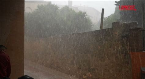 Auto Danneggiate E Alberi Crollati Per La Forte Grandinata La Strada