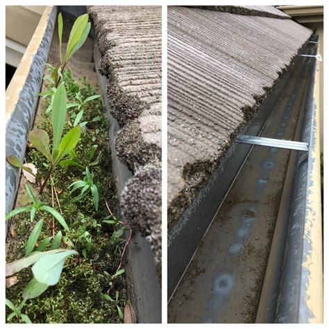 Dangers Of Neglecting Gutters And Downspouts