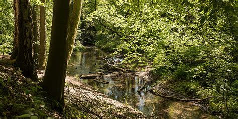 Natur selbst entdecken - Nottuln