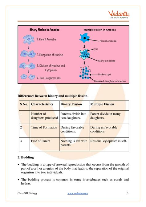 SOLUTION Reproduction In Organism Pdf Studypool