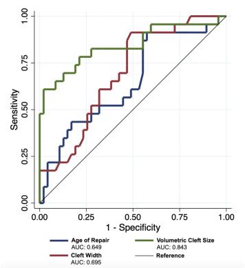 Assessment And Validation Of Preoperative Three Dimensional Volumetric