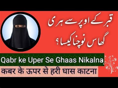 Qabar Par Lage Hare Paodhe Ko Katna Kaisa Hair Qabr Hari Ghas Islami