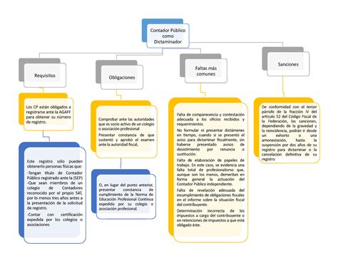 Mapa Conceptual Del Contador Publico Hayes Images