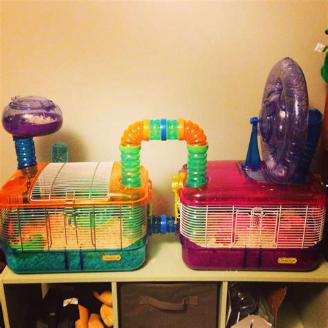 Now Thats A Hamster Cage Hamster Bin Cage Pet Mice Hamster House