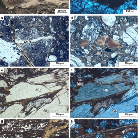 Thin Section Photomicrographs Of Representative Samples Of The