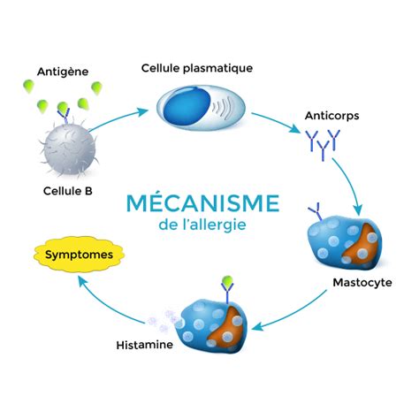 Comprendre Lallergie Liée Aux Acariens