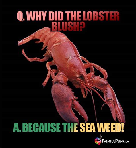 Sea Creature Jokes Lobster Puns Shellfish Humor 2