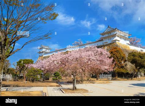 Hyogo Japan April Himeji Castle Aka White Heron Castle With