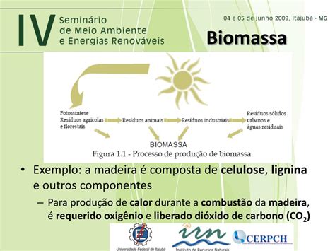 Energia De Biomassa Vantagens E Desvantagens