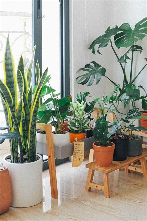 Creative Indoor Planter Box Ideas: Inspiration for a Green Home - Home And Hues