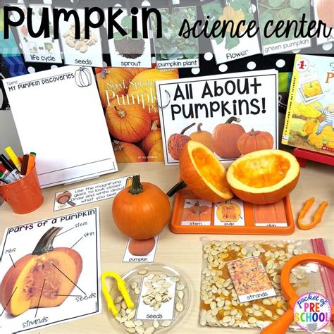 Pumpkin Activities For Preschool Pre K Amp Kindergarten Artofit