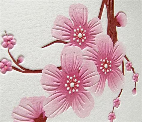 Cherry Blossom Cards Digby And Rose Digby And Rose Invitations Dc