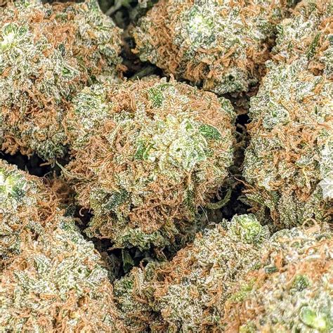 Blueberry Rockstar Aaa Buy Weed Online Online Dispensary