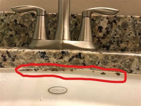 Get Rid Of Mold In Bathroom Sink Drain Artcomcrea